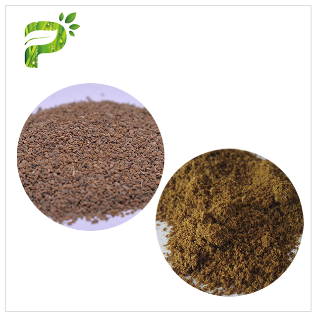 Celery Seed Extract