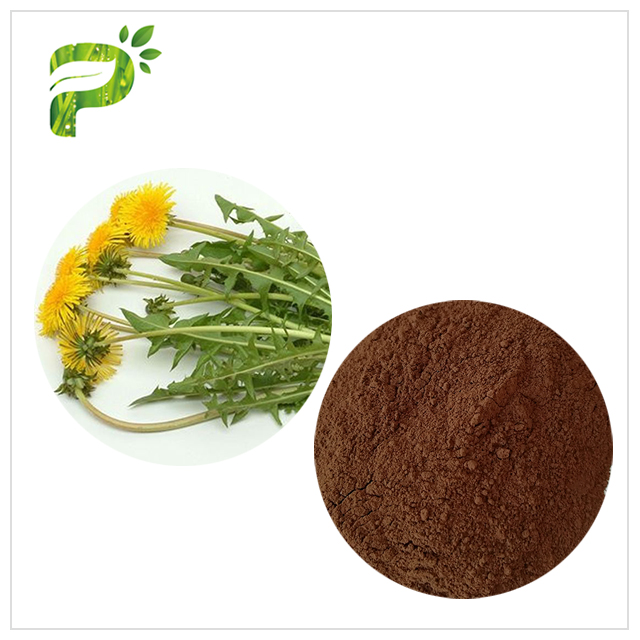 Dandelion Extract