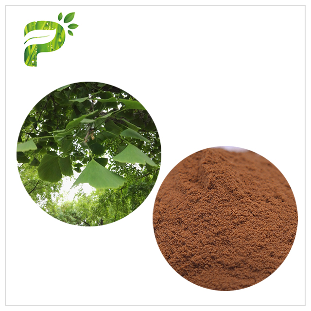 Gingko Biloba Extract