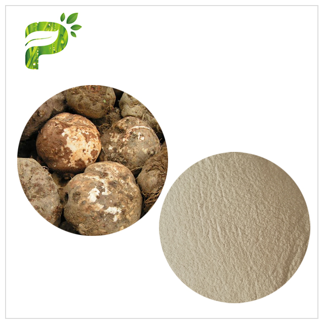 Konjac Extract