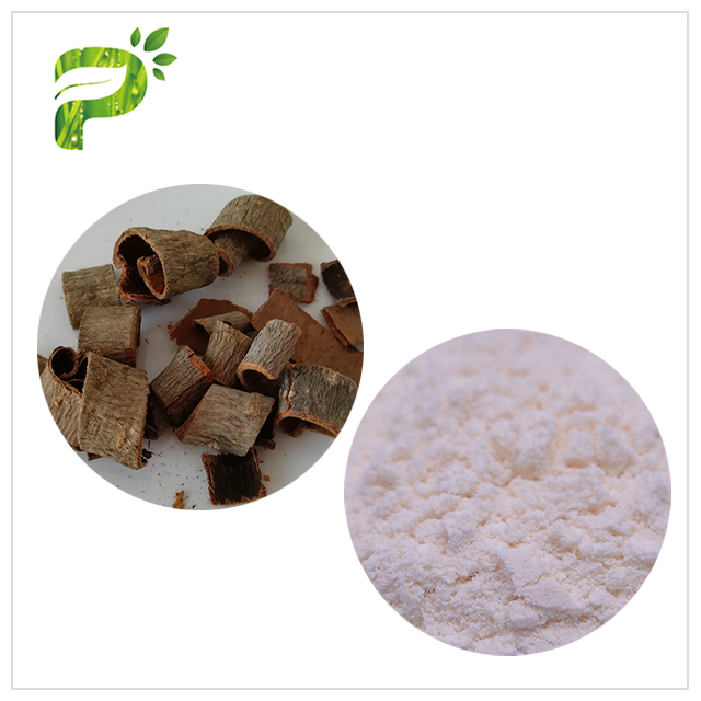 Magnolia Bark Extract