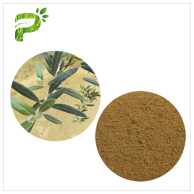 Olive Leaf Extract