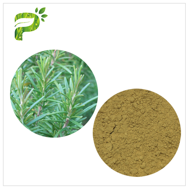 Rosemary Extract