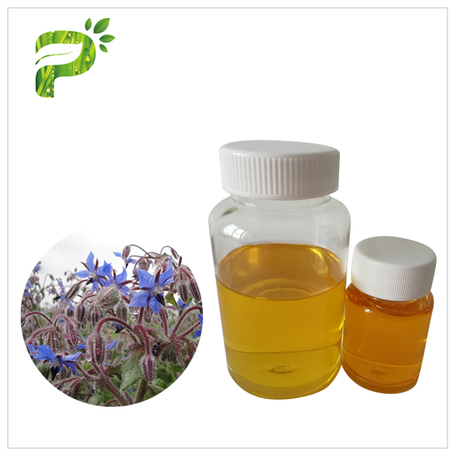 Borage Seed Oil