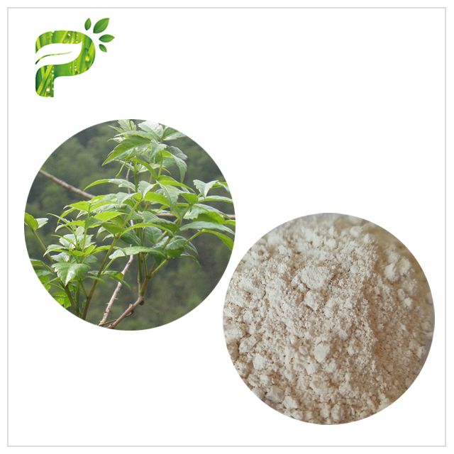 Ampelopsis Grossedentata Extract- Skin Anti-oxidation