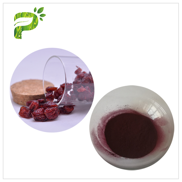 Cranberry Extract - Wound healing