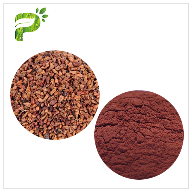 Grape Seed Extract - Skin Anti-oxidation