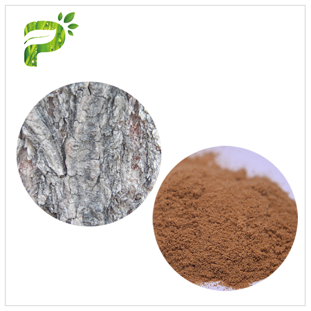 White Willow Extract - Skin Anti-inflammatory