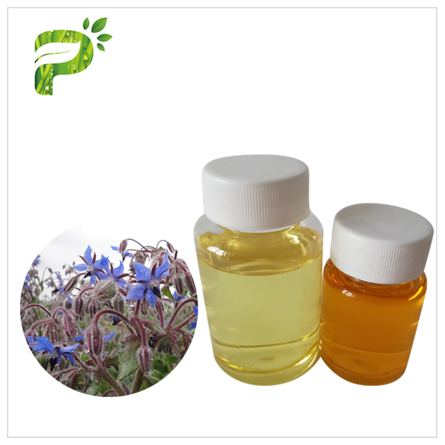 Organic Borage Seed Oil