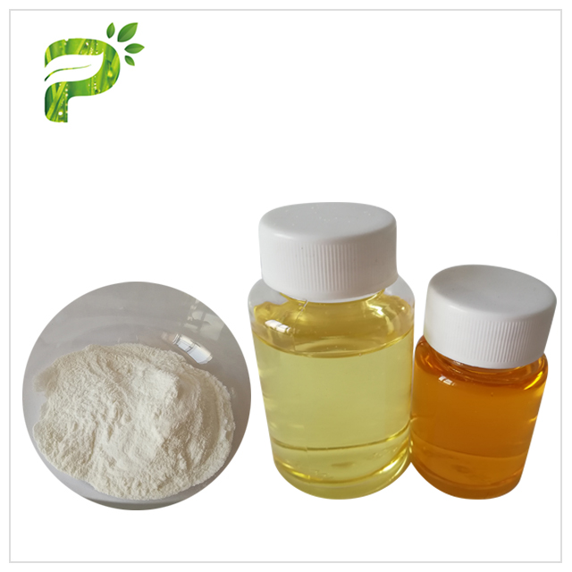 Pumpkin Seed Oil Powder