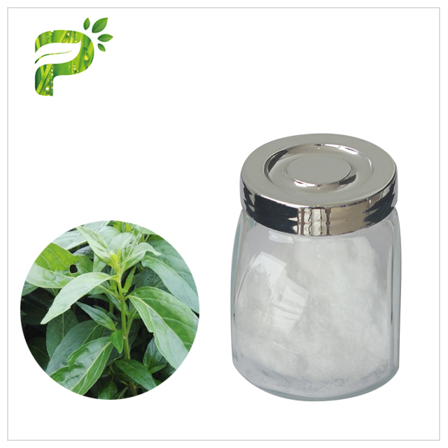 Andrographis Paniculate Extract