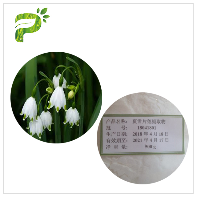 Launched new product--Leucojum Aestivum Extract as Cosmetic Ingredient