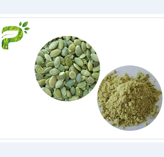 Pumpkin Seed Protein Powder