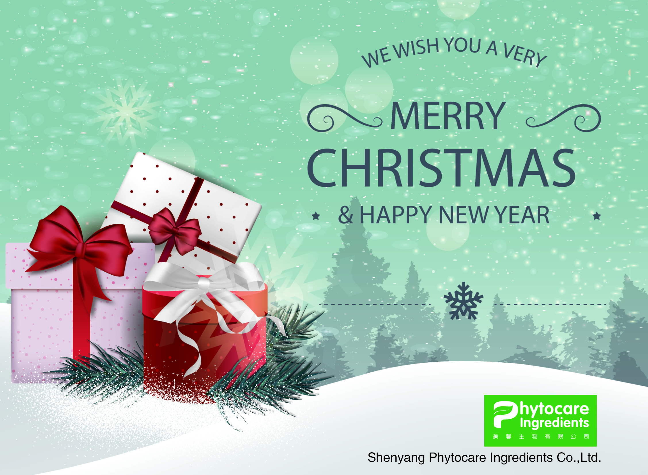 Merry Christmas & Happy New Year from Phytocare Team!