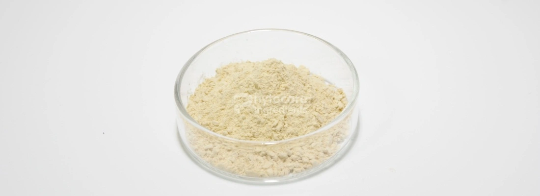 Rosemary Leaf Extract Powder