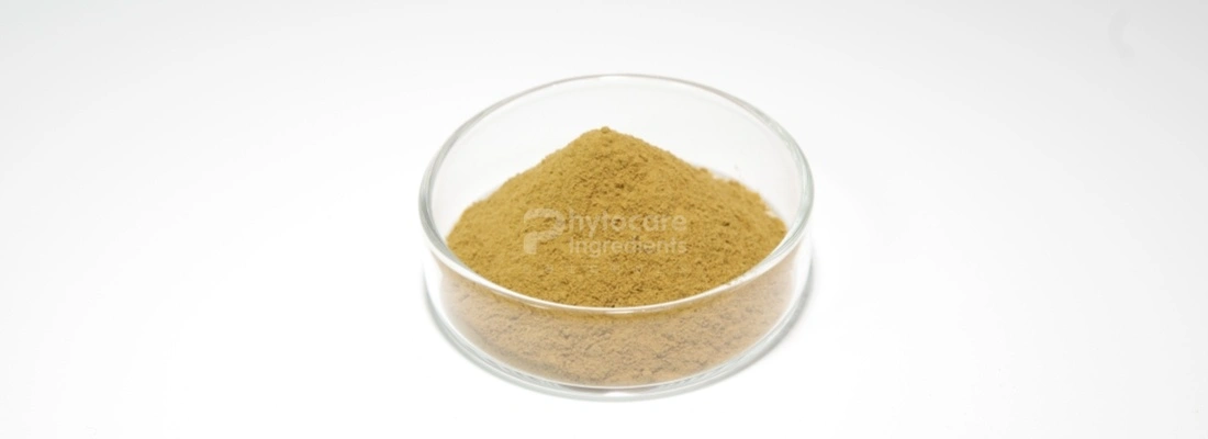 Echinacea Purpurea Extract