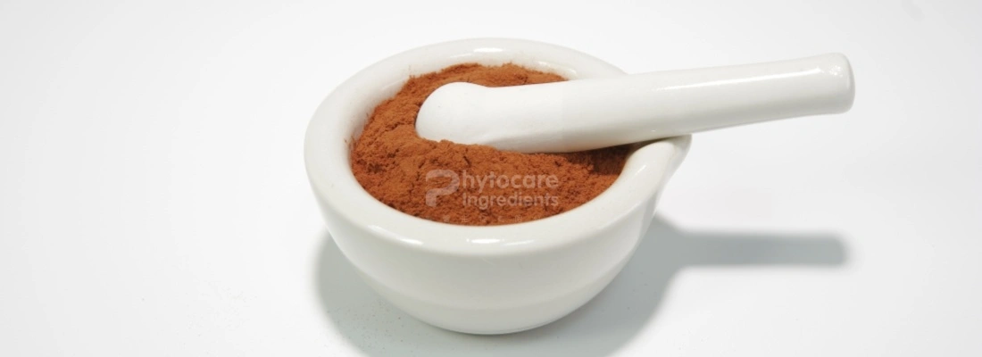 Grape Seed Extract