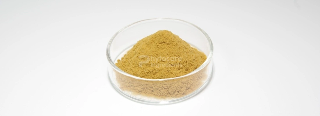 product-1-1