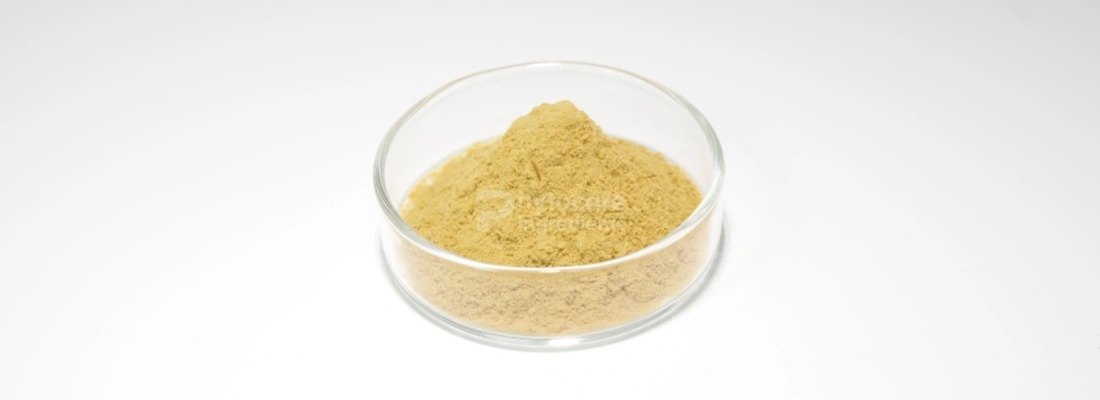 Bitter Melon Extract Powder Bitter Melon Extract Powder