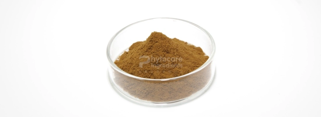 Coleus Forskohlii Extract Powder