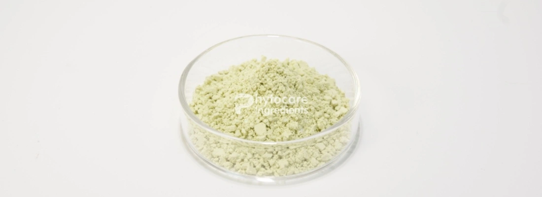 Pumpkin Seed Protein Powder