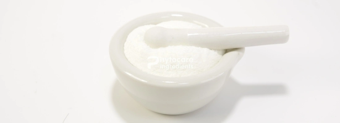 Flax Seed Oil Powder