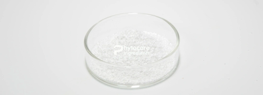 Citicoline Sodium Citicoline Sodium