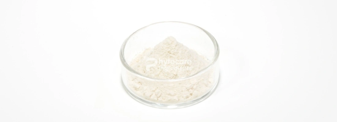 Sodium Acetylated Hyaluronate Sodium Acetylated Hyaluronate