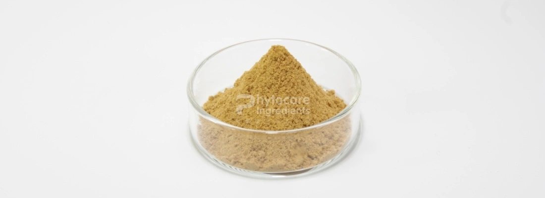 Red Jujube Powder