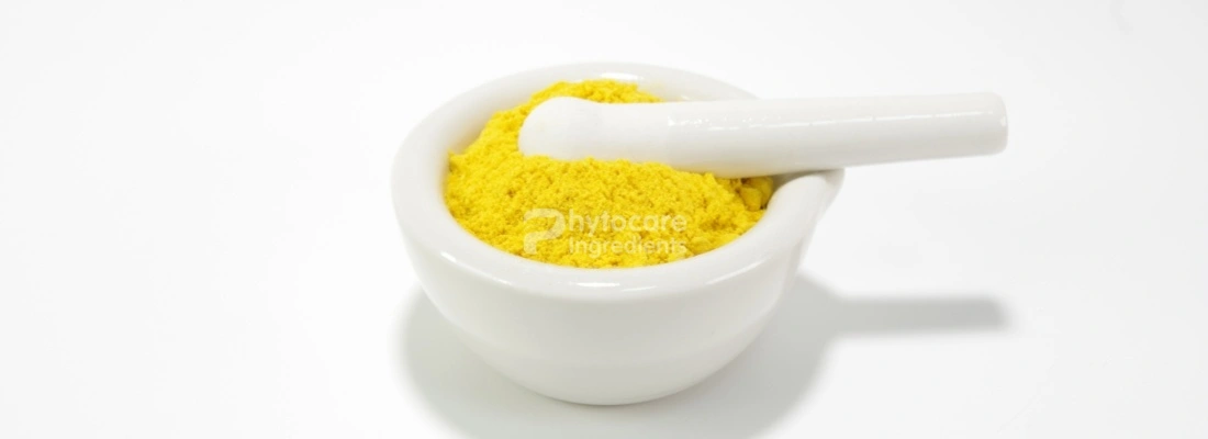 Pumpkin Fruit Powder Pumpkin Fruit Powder