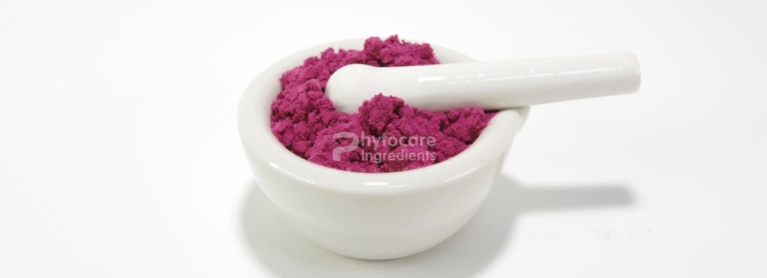 Dragon Fruit Powder