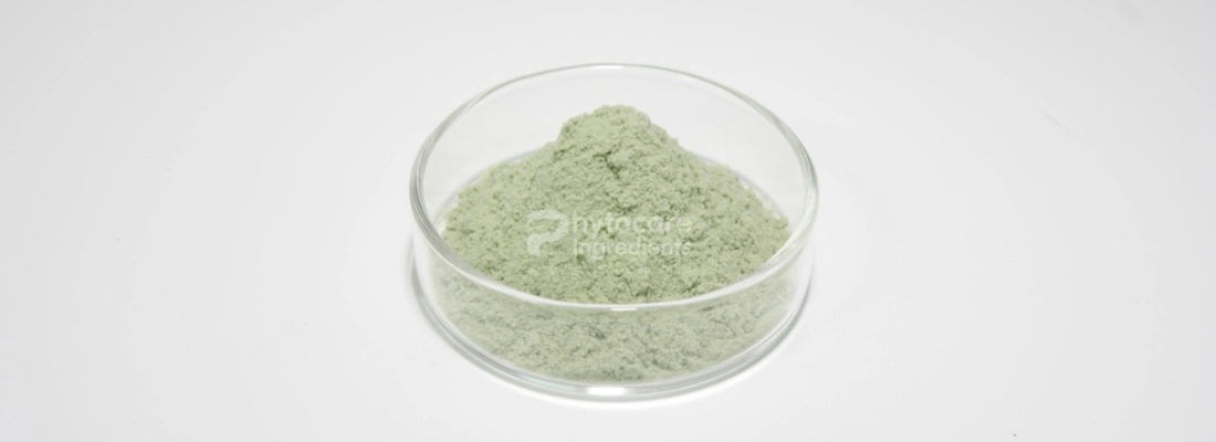 Kiwi Fruit Powder