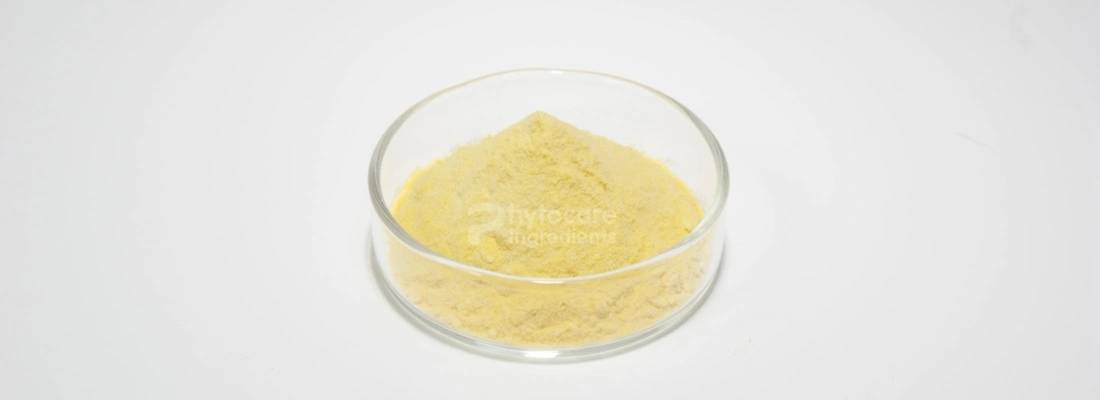 Mango Powder