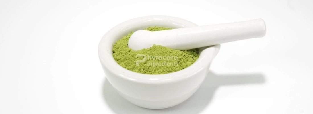 Bulk Organic Matcha Powder Bulk Organic Matcha Powder