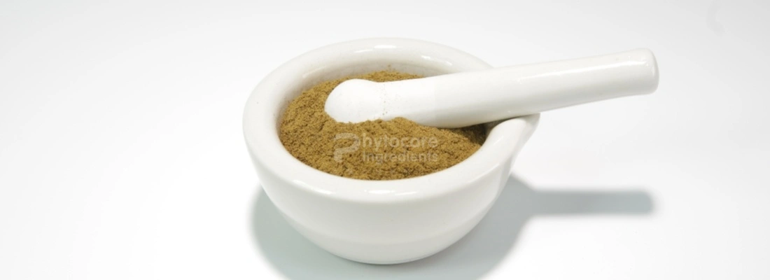 Aloe Vera Extract Powder Aloe Vera Extract Powder