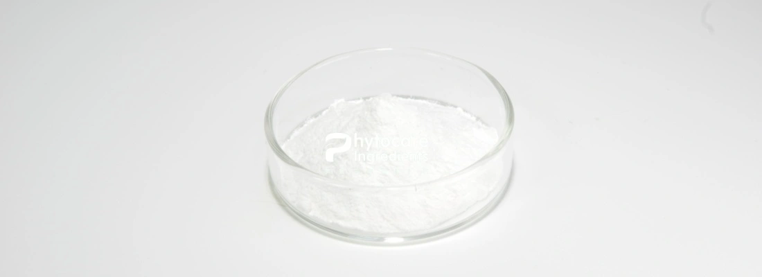 Sodium Hyaluronate