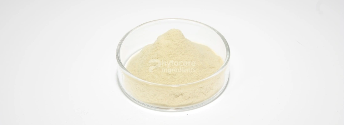 Centella Asiatica Extract Powder