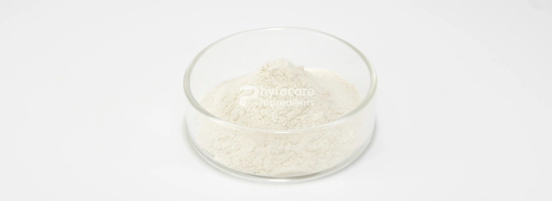 Bromelain Powder Bromelain Powder
