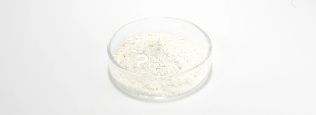 Ferulic Acid Powder