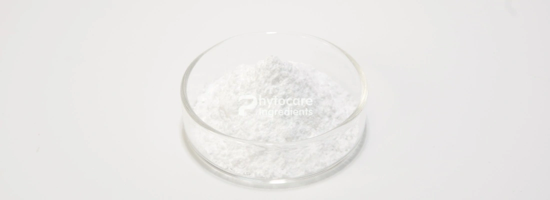 Hydrogenated Lecithin Powder Hydrogenated Lecithin Powder