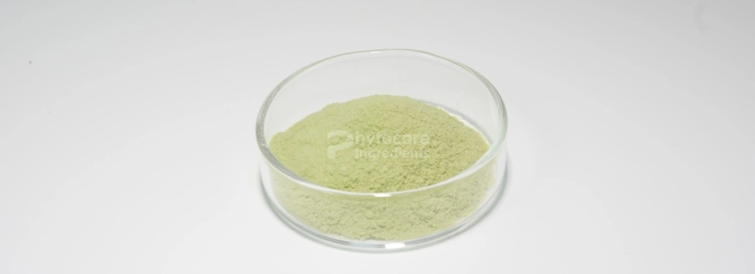 Spinach Powder Spinach Powder