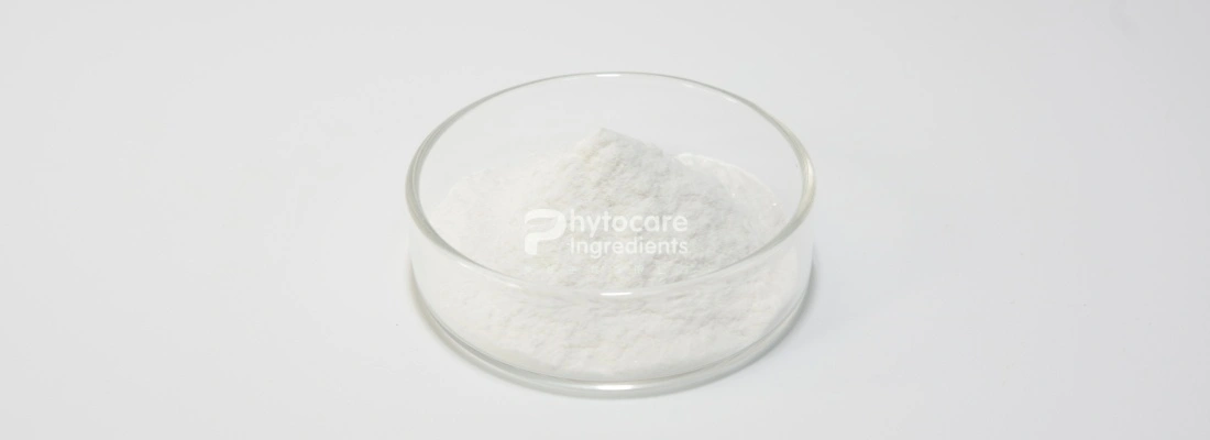 Papain Powder Papain Powder