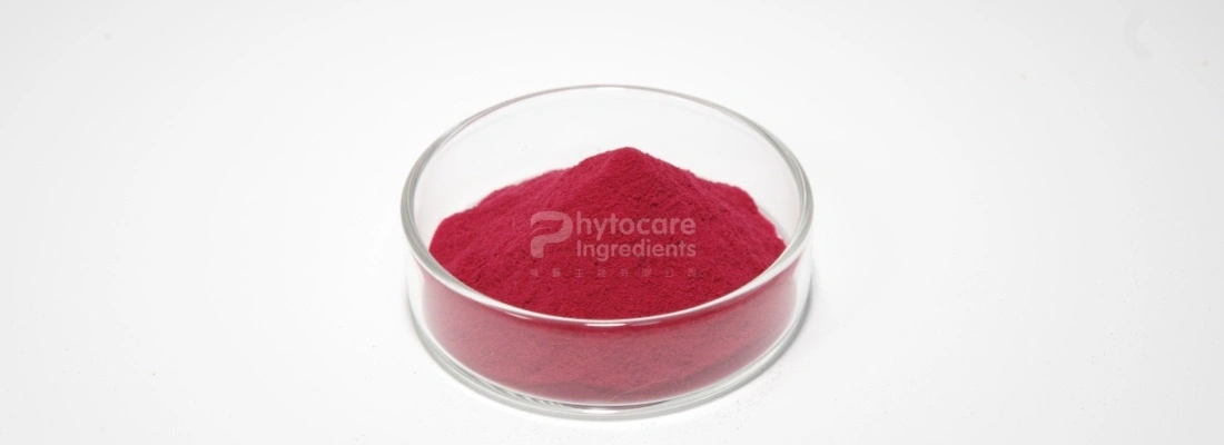 Cranberry Extract Powder