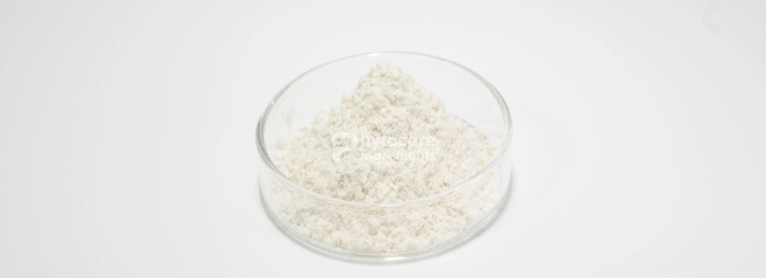 Resveratrol Powder