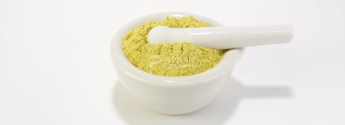 Sophorae Japonica Extract Sophorae Japonica Extract