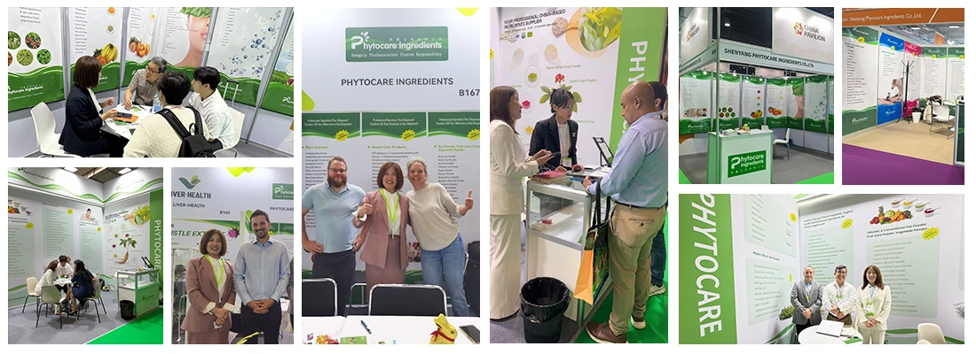 Our Exhibitions