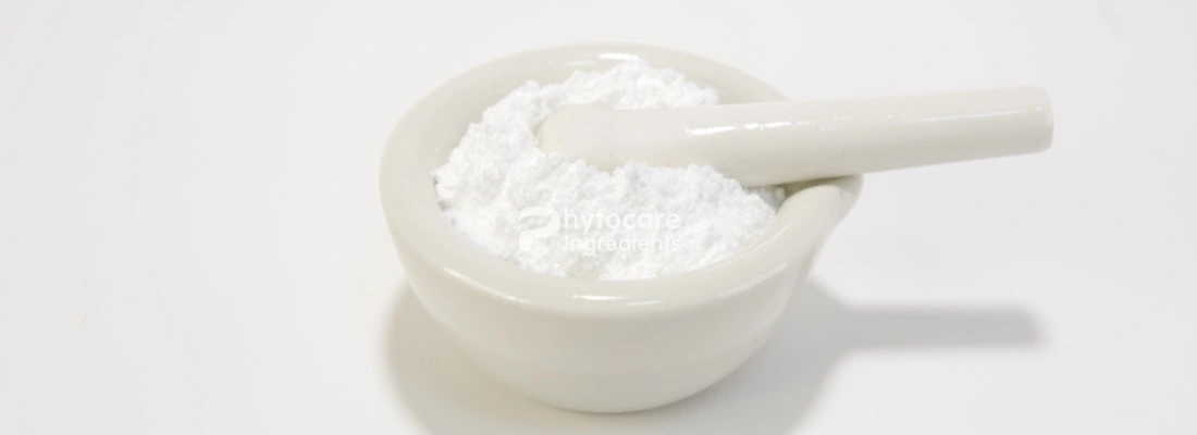 Hydrogenated Lecithin Powder