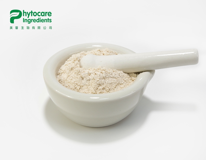 Alkaline Protease