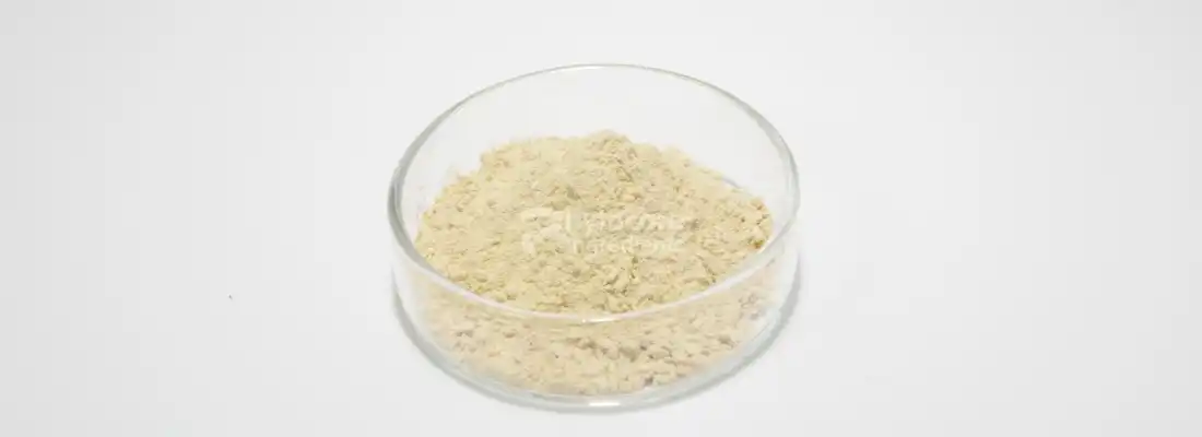Can Carnosic Acid Powder Protect Skin from Oxidative Damage?