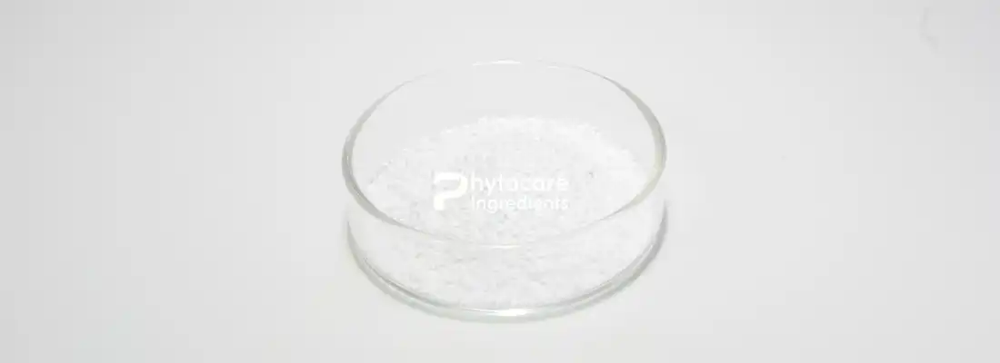How Does Ectoin Powder Help with Anti-Aging Skincare Formulas?